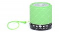 Портативна колонка WSTER WS-631 Bluetooth зелена