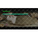 Open (Openbox) SX2 Combo DVB-S2/T2