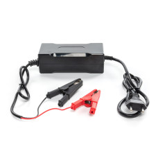 Зарядний пристрій Lifepo4 YZ130 12.8В 10А L