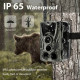 GSM фотоловушка HantCam HC-801M EU